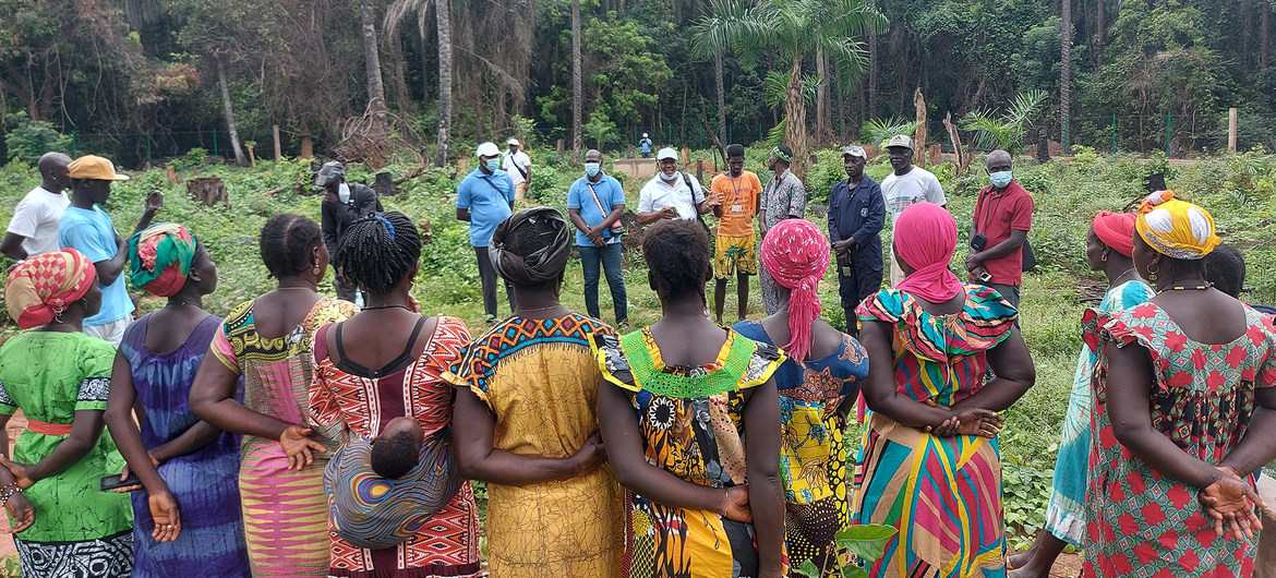 Em parceria com FAO, Guiné-Bissau intensifica ações contra alterações do clima